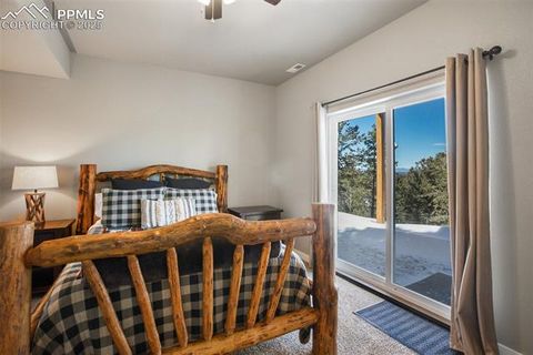 Tiny photo for 269 Klitowya Trail, Woodland Park, CO 80863 (MLS # 5659452)