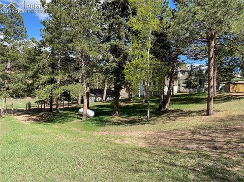 Tiny photo for 845 Markus Road, Woodland Park, CO 80863 (MLS # 1509853)