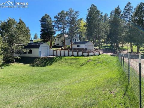 Tiny photo for 845 Markus Road, Woodland Park, CO 80863 (MLS # 1509853)