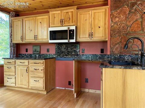 Tiny photo for 845 Markus Road, Woodland Park, CO 80863 (MLS # 1509853)