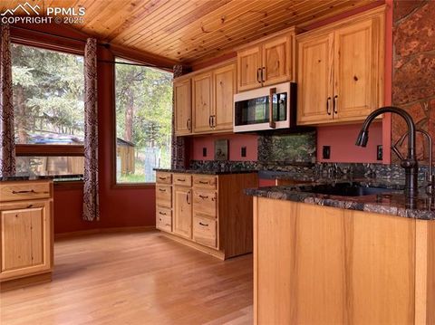 Tiny photo for 845 Markus Road, Woodland Park, CO 80863 (MLS # 1509853)