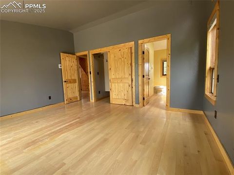 Tiny photo for 845 Markus Road, Woodland Park, CO 80863 (MLS # 1509853)