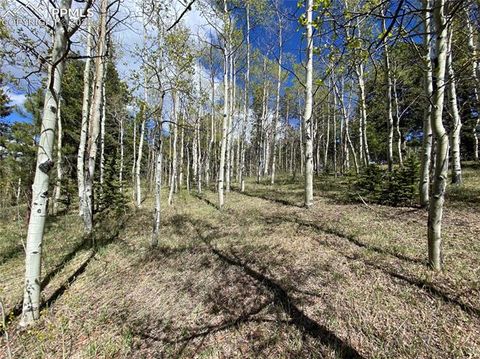 Tiny photo for 845 Markus Road, Woodland Park, CO 80863 (MLS # 1509853)