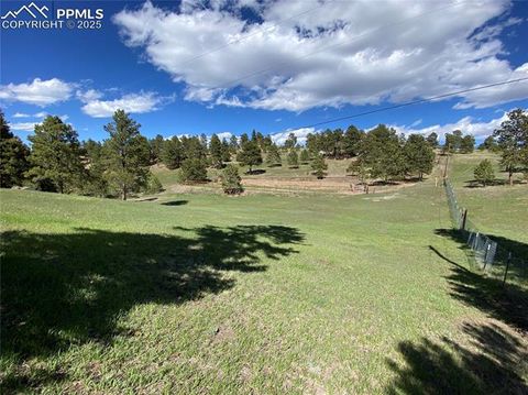 Tiny photo for 845 Markus Road, Woodland Park, CO 80863 (MLS # 1509853)