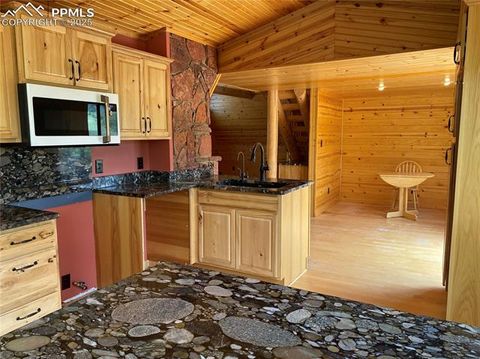 Tiny photo for 845 Markus Road, Woodland Park, CO 80863 (MLS # 1509853)
