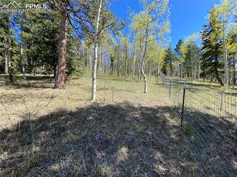 Tiny photo for 845 Markus Road, Woodland Park, CO 80863 (MLS # 1509853)