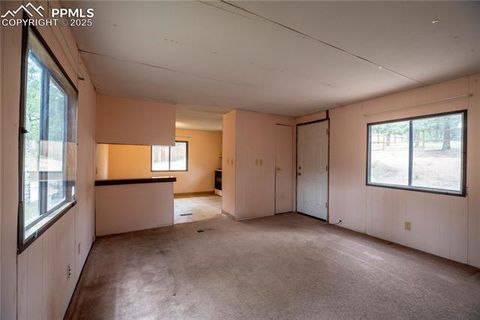 Tiny photo for 310 Blossom Road, Woodland Park, CO 80863 (MLS # 5124976)