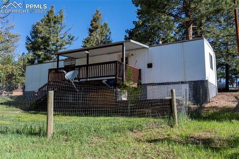 Tiny photo for 310 Blossom Road, Woodland Park, CO 80863 (MLS # 5124976)