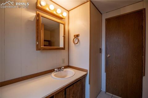 Tiny photo for 310 Blossom Road, Woodland Park, CO 80863 (MLS # 5124976)