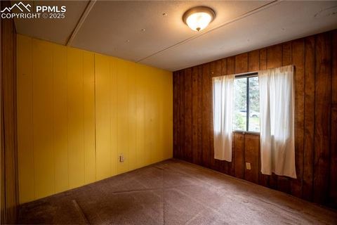 Tiny photo for 310 Blossom Road, Woodland Park, CO 80863 (MLS # 5124976)
