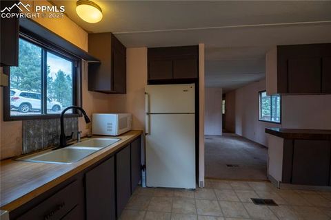 Tiny photo for 310 Blossom Road, Woodland Park, CO 80863 (MLS # 5124976)