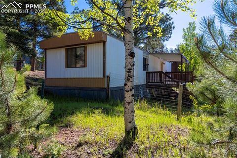 Tiny photo for 310 Blossom Road, Woodland Park, CO 80863 (MLS # 5124976)