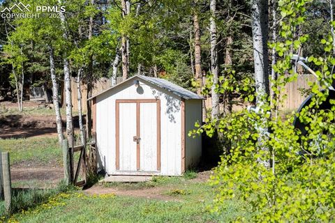 Tiny photo for 310 Blossom Road, Woodland Park, CO 80863 (MLS # 5124976)