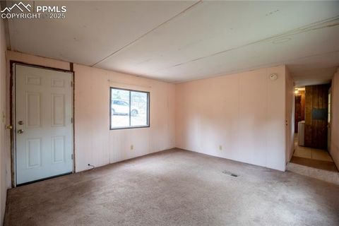 Tiny photo for 310 Blossom Road, Woodland Park, CO 80863 (MLS # 5124976)
