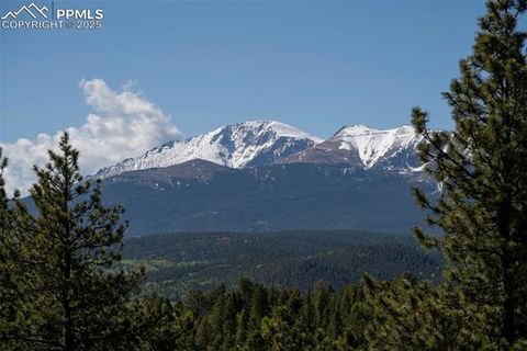 Tiny photo for 310 Blossom Road, Woodland Park, CO 80863 (MLS # 5124976)