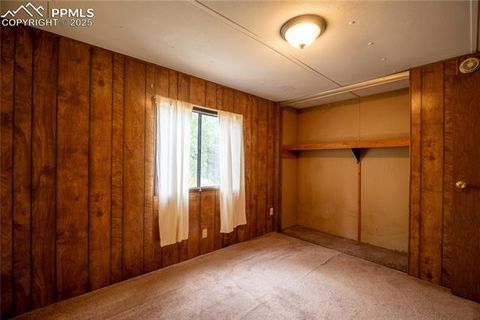 Tiny photo for 310 Blossom Road, Woodland Park, CO 80863 (MLS # 5124976)