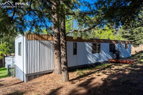 Tiny photo for 310 Blossom Road, Woodland Park, CO 80863 (MLS # 5124976)