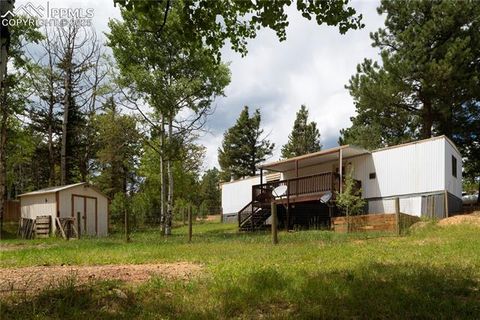 Tiny photo for 310 Blossom Road, Woodland Park, CO 80863 (MLS # 5124976)