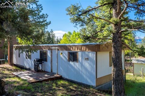 Photo of 310 Blossom Road, Woodland Park, CO 80863 (MLS # 5124976)