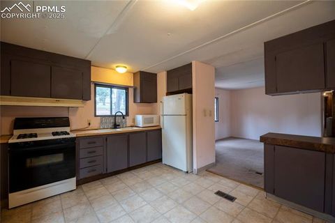 Tiny photo for 310 Blossom Road, Woodland Park, CO 80863 (MLS # 5124976)