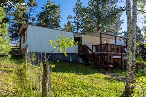 Tiny photo for 310 Blossom Road, Woodland Park, CO 80863 (MLS # 5124976)