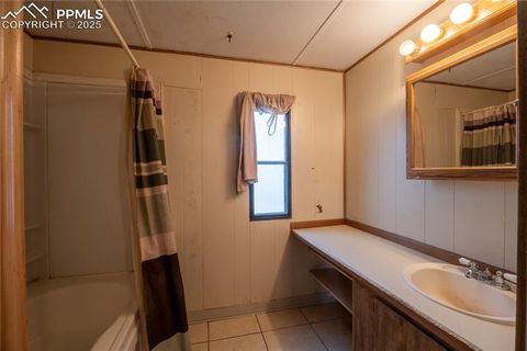 Tiny photo for 310 Blossom Road, Woodland Park, CO 80863 (MLS # 5124976)