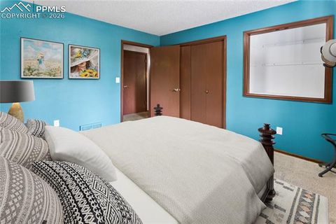 Tiny photo for 1129 Forest Hill Road, Woodland Park, CO 80863 (MLS # 3308769)