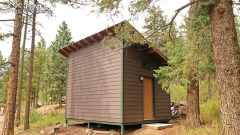 Tiny photo for 1129 Forest Hill Road, Woodland Park, CO 80863 (MLS # 3308769)