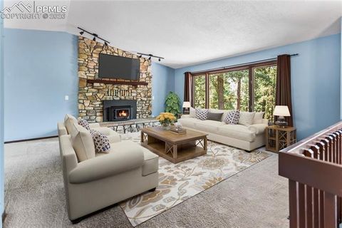 Tiny photo for 1129 Forest Hill Road, Woodland Park, CO 80863 (MLS # 3308769)