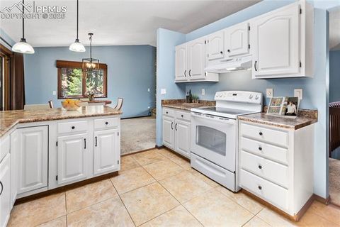 Tiny photo for 1129 Forest Hill Road, Woodland Park, CO 80863 (MLS # 3308769)