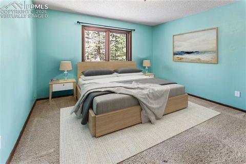 Tiny photo for 1129 Forest Hill Road, Woodland Park, CO 80863 (MLS # 3308769)