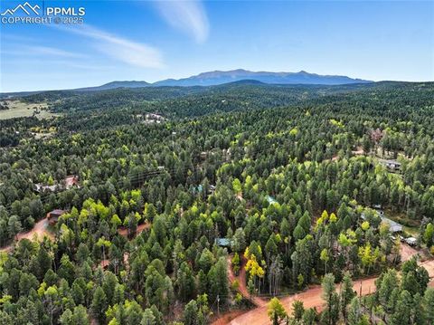 Tiny photo for 112 Denwood Drive, Florissant, CO 80816 (MLS # 7245186)