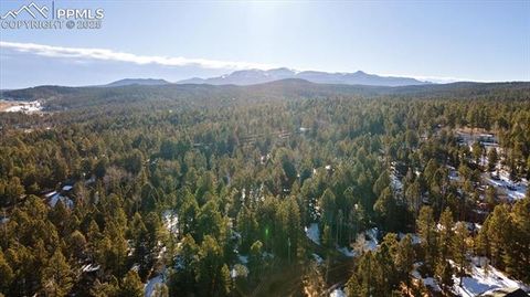 Tiny photo for 112 Denwood Drive, Florissant, CO 80816 (MLS # 7245186)