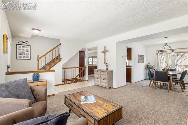 1310 Carlson Drive