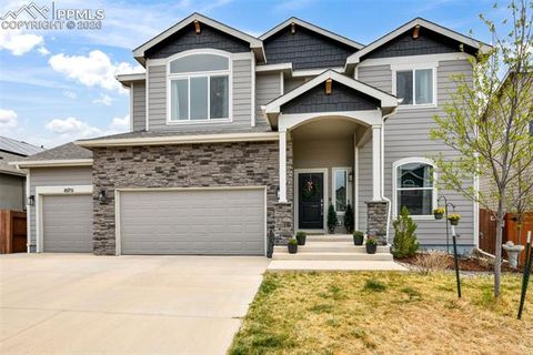 Photo of 10751 Shavano Peak Court, Peyton, CO 80831 (MLS # 5773371)