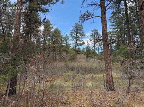Photo of 4885 Red Rock Drive, Larkspur, CO 80118 (MLS # 1425100)