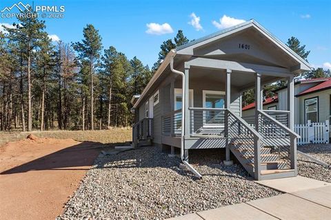 Tiny photo for 1401 Calm Mountain Point, Woodland Park, CO 80863 (MLS # 1584356)