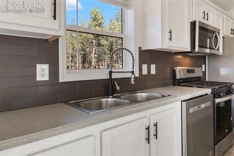 Tiny photo for 1401 Calm Mountain Point, Woodland Park, CO 80863 (MLS # 1584356)