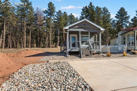 Tiny photo for 1401 Calm Mountain Point, Woodland Park, CO 80863 (MLS # 1584356)