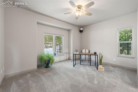 Tiny photo for 955 Locklin Way, Woodland Park, CO 80863 (MLS # 1240658)