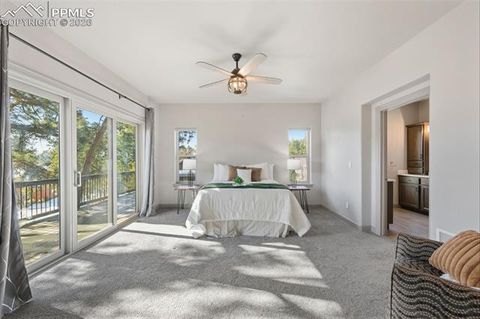 Tiny photo for 955 Locklin Way, Woodland Park, CO 80863 (MLS # 1240658)