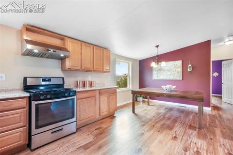 Tiny photo for 696 Calle De La Nieva, Florissant, CO 80816 (MLS # 5160262)