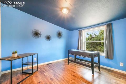 Tiny photo for 696 Calle De La Nieva, Florissant, CO 80816 (MLS # 5160262)