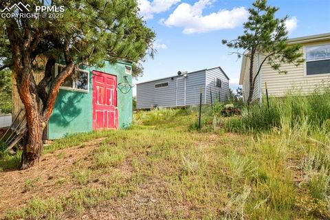Tiny photo for 696 Calle De La Nieva, Florissant, CO 80816 (MLS # 5160262)