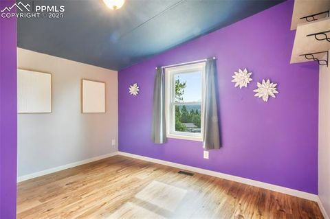 Tiny photo for 696 Calle De La Nieva, Florissant, CO 80816 (MLS # 5160262)