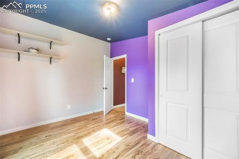 Tiny photo for 696 Calle De La Nieva, Florissant, CO 80816 (MLS # 5160262)