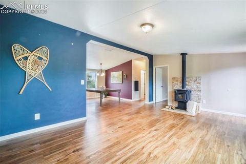 Tiny photo for 696 Calle De La Nieva, Florissant, CO 80816 (MLS # 5160262)