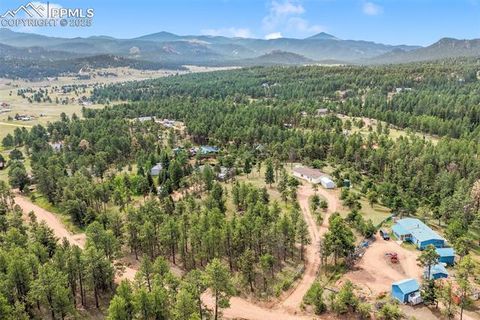 Tiny photo for 696 Calle De La Nieva, Florissant, CO 80816 (MLS # 5160262)