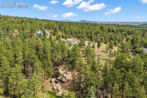 Tiny photo for 696 Calle De La Nieva, Florissant, CO 80816 (MLS # 5160262)