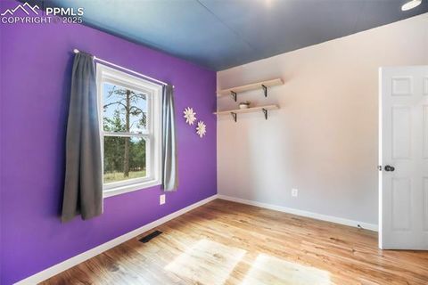 Tiny photo for 696 Calle De La Nieva, Florissant, CO 80816 (MLS # 5160262)